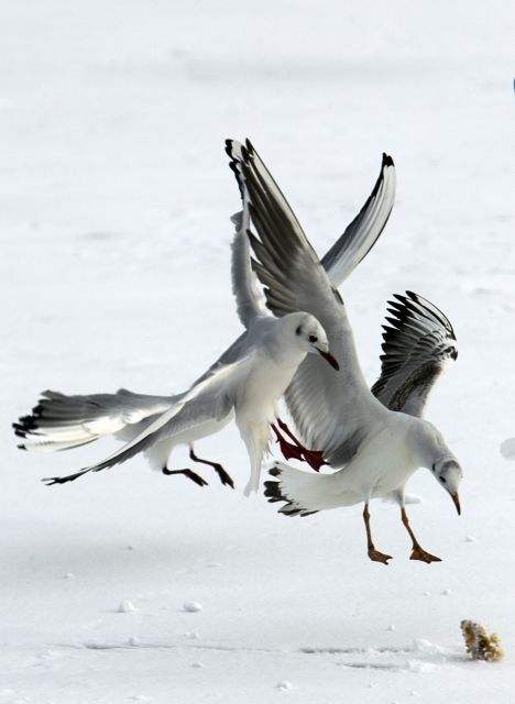 Ξεπέρασαν τους 280 οι νεκροί στην Ευρώπη από τη βαριά κακοκαιρία